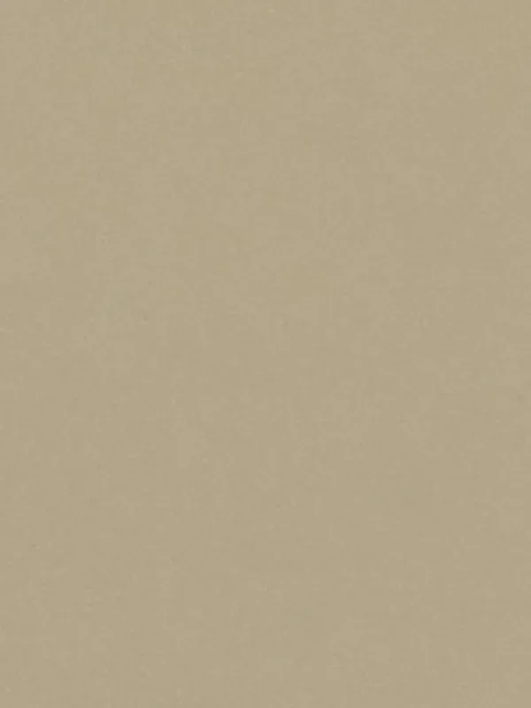 Teinte Champagne Satin